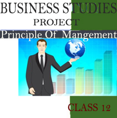Business Studies Project on Principles Of Management