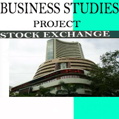 Business Studies Project on Stock Exchange