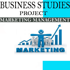 Business Studies Project on Marketing Management