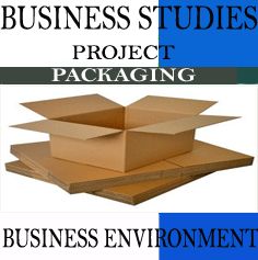 Business Studies Project on Packaging-