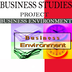 Business Studies Project Business Environnment