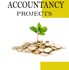Accountancy Projects ICSE