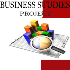 Business Studies Project