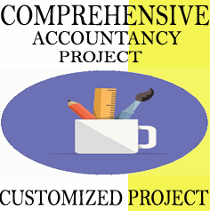 Customized Comprehensive Accountancy Project