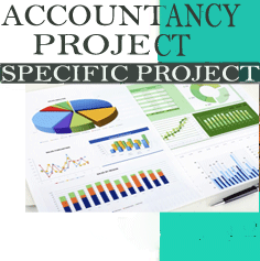 Specific Accountancy Project