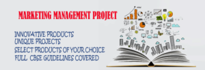 Marketing Management Project Features