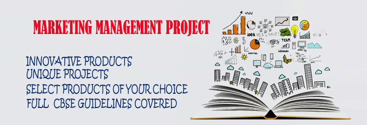 Marketing Management Project Features