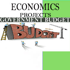 ECONOMICS PROJECT ON GOVERNMENT BUDGET