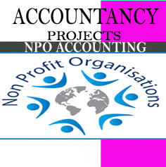 Accountancy Project not for profit NPO