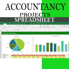 Accountancy Project on Spreadheet
