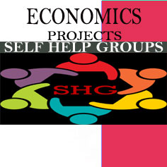Economics Project Self hep Groups