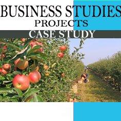 bst project class 11 on case study on a product
