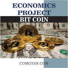 economics project bit coin