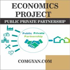 economics project public private partnership