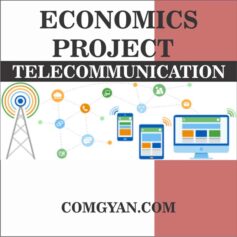 economics project telecommunication